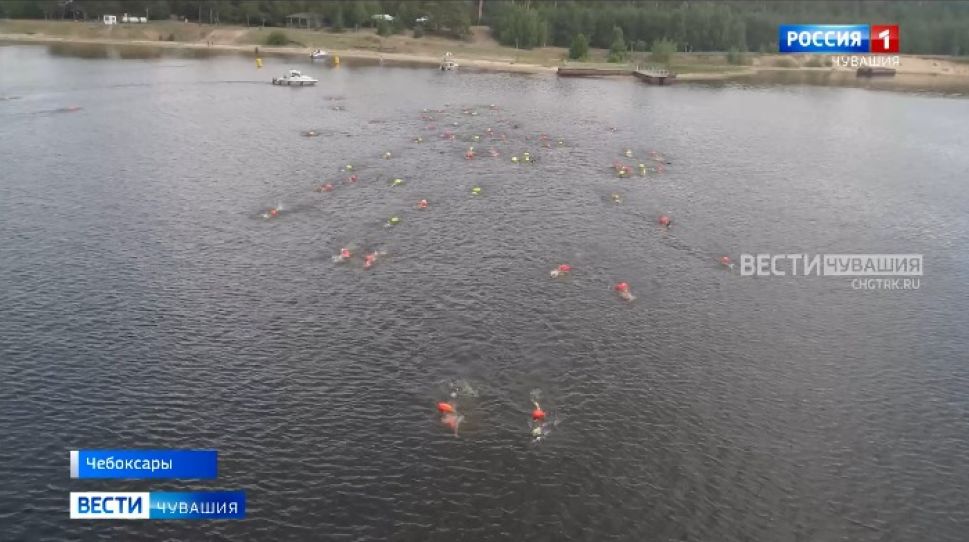 Около сотни пловцов-любителей приняли участие в «Chebswim 2021»