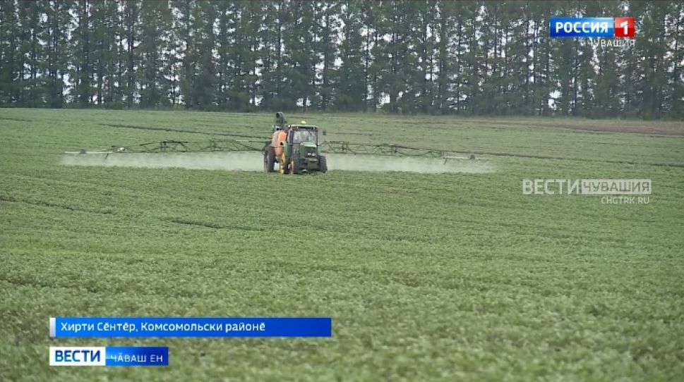 Республикӑра ял хуҫалӑх культурисене сӑтӑр тӑвакансем ӗрченӗ 