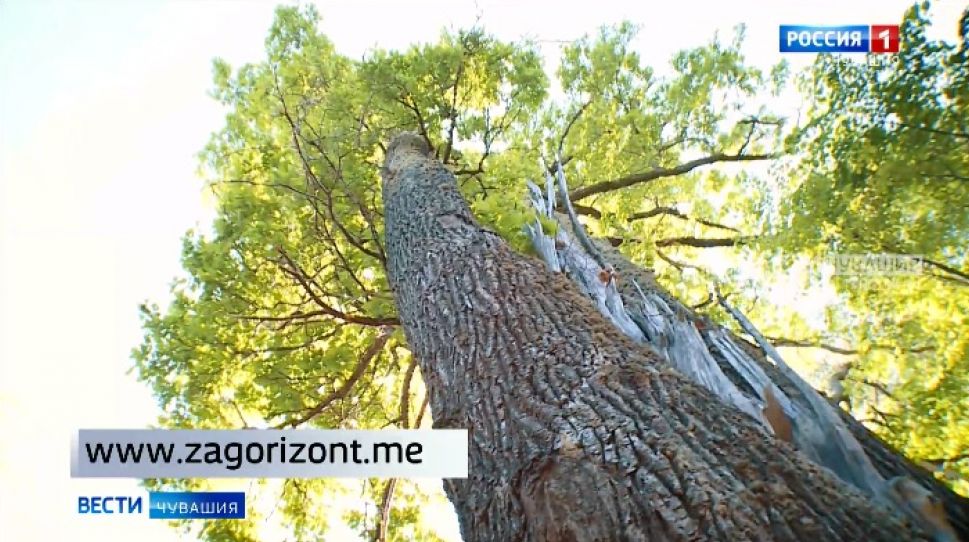 «Открой свою Россию»: стартовал всероссийский конкурс турмаршрутов