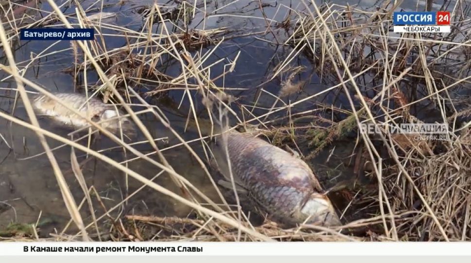 По факту загрязнения реки и массовой гибели рыбы в селе Батырево возбуждено дело