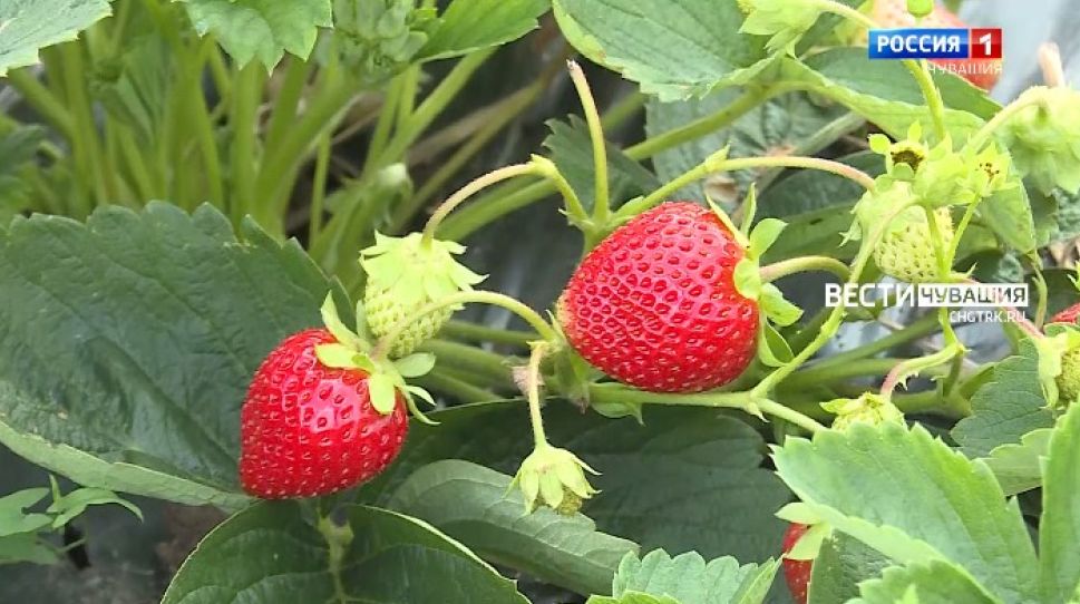 О событиях уходящей недели в программе "Местное время. Воскресенье"