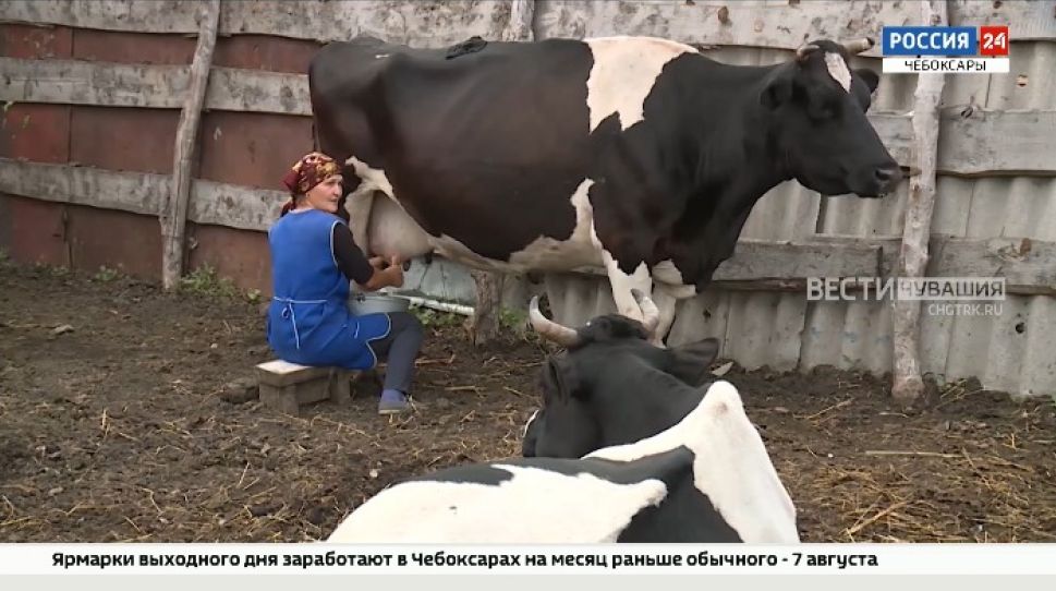 В Чувашии стартовала первая сельскохозяйственная микроперепись