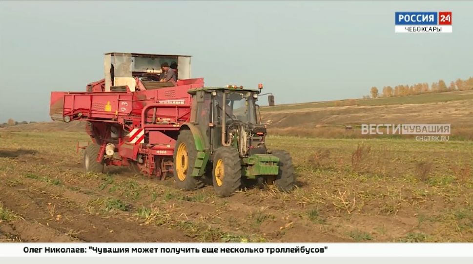 Засуха в этом году заставила аграриев Чувашии выйти на уборку урожая на неделю раньше