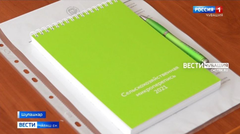 «Микро» тени «пӗчӗк» тенине пӗлтермест