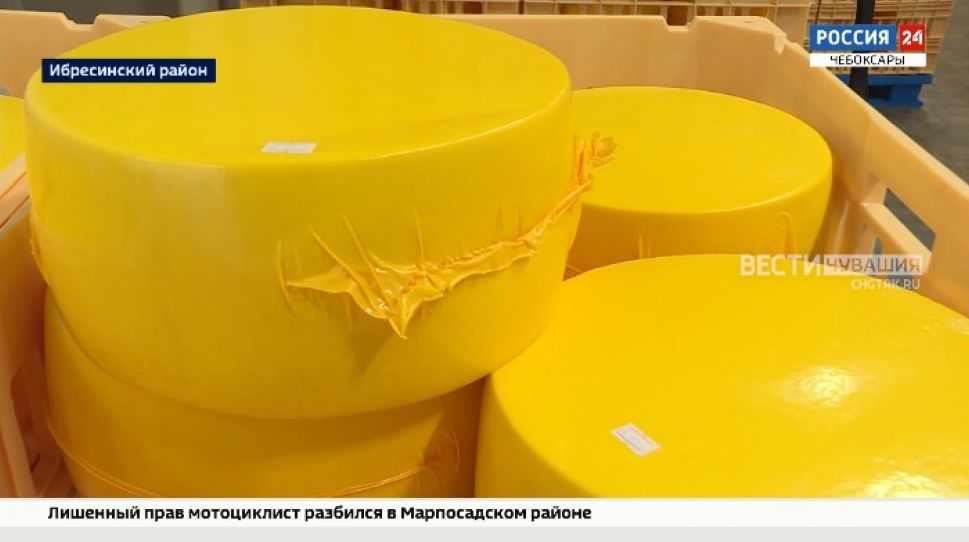 В Ибресинском районе открыли новый цех по производству сыра