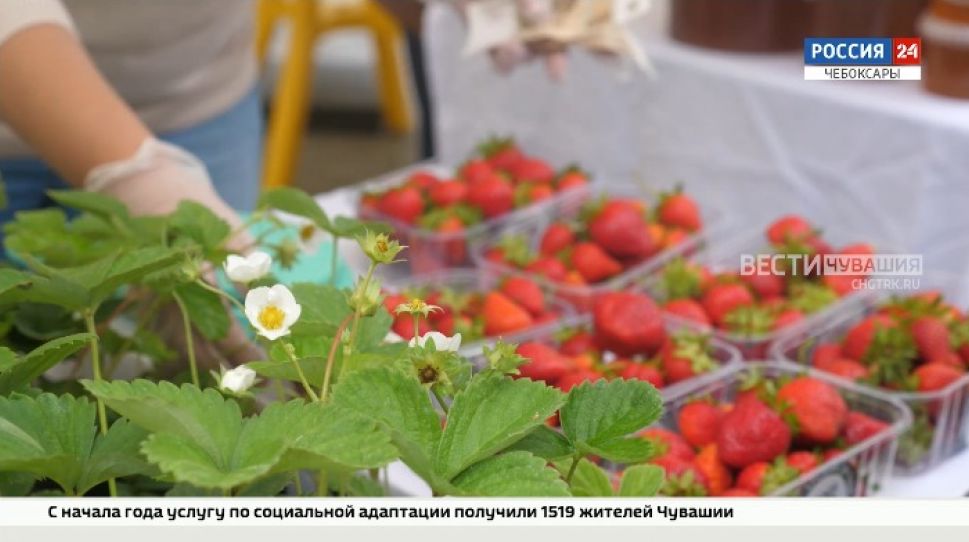 Сельхозярмарки в Чебоксарах будут работать до 5 сентября