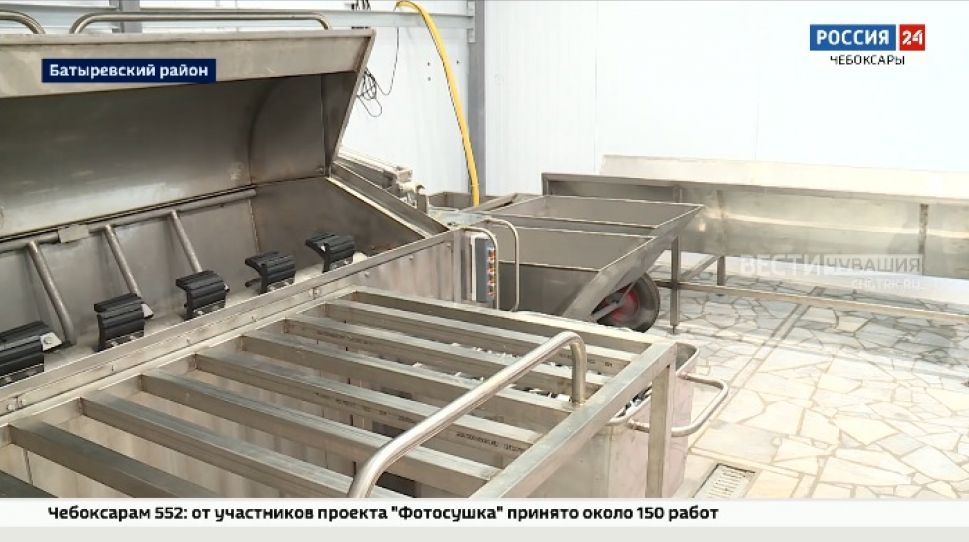 В Батыревском районе запустили новый цех по убою и переработке мяса