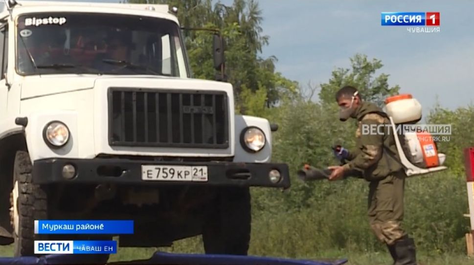 Африка мурне пула шар курнисен тӑкакӗсене эрне вӗҫлениччен саплаштарма пуҫласшӑн