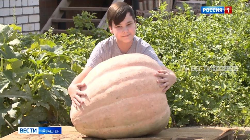 Тӗп хулара пурӑнакан арҫын ача 60 кило таякан кавӑн ҫитӗнтернӗ 