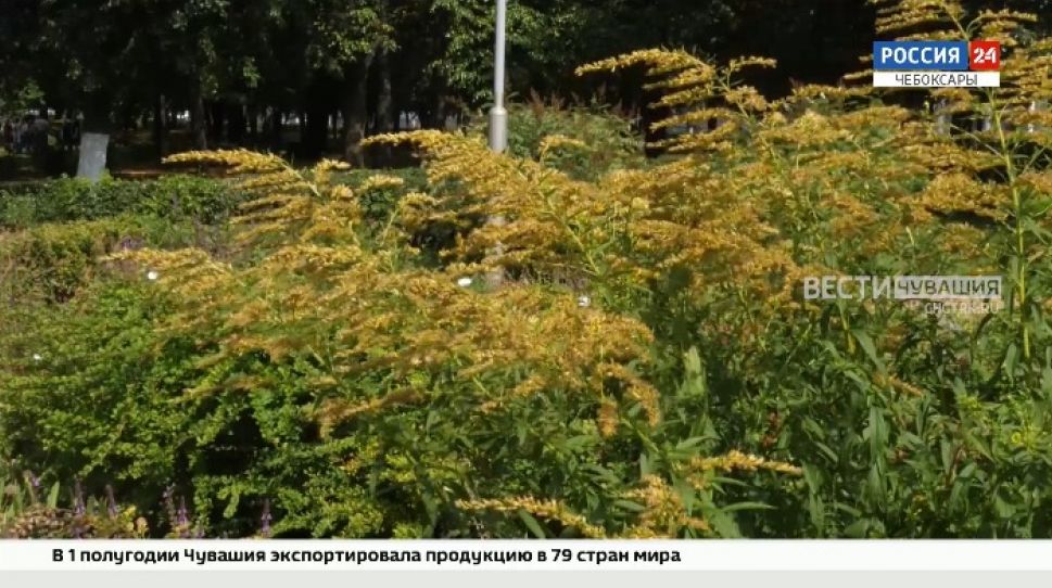 В Чувашии побит температурный рекорд 50-летней давности