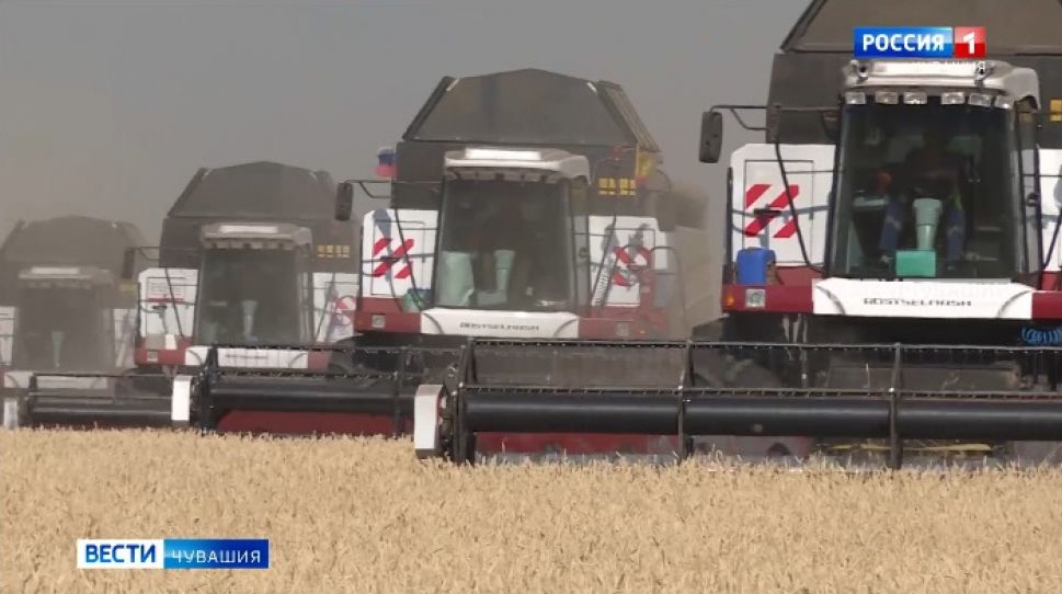 Канашский,  Алатырский и Яльчикский районы лидируют по урожайности зерновых
