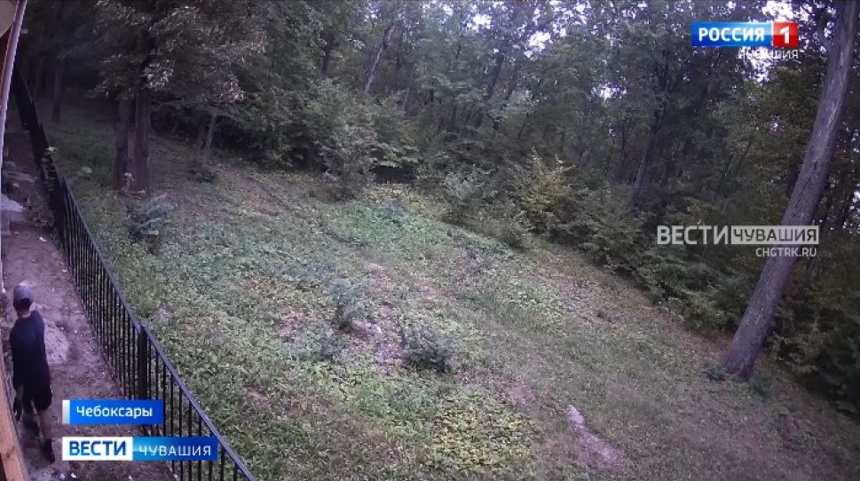 Вор-рецидивист крал у постояльцев чебоксарского отеля 