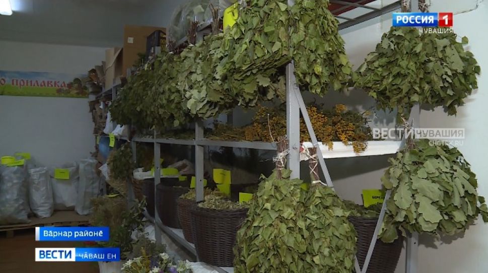 Ялти суту-илӗве аталантаракансем