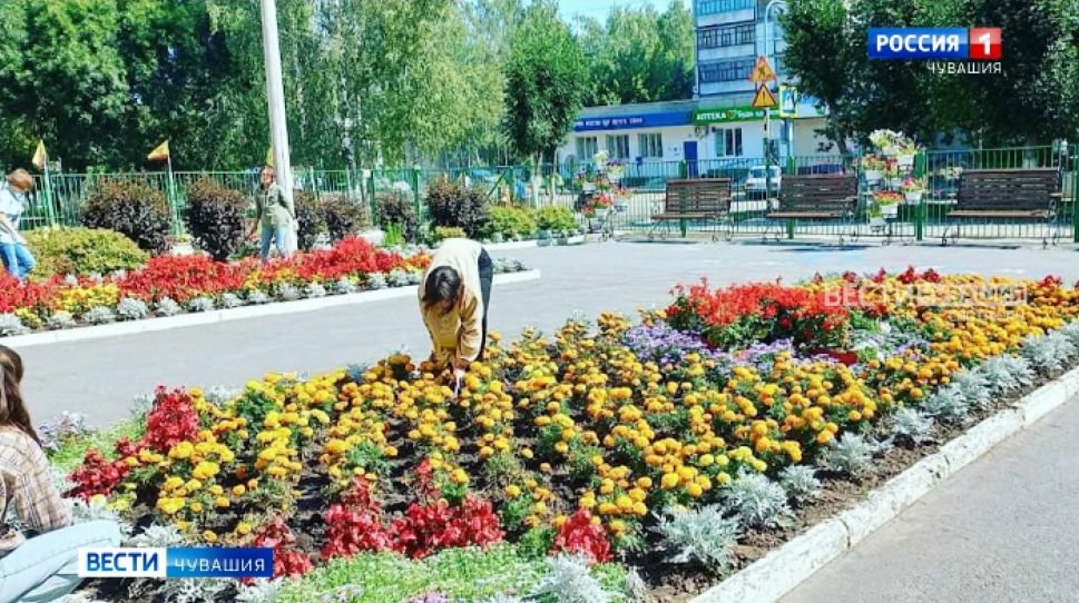 В Чувашии подвели итоги ежегодного конкурса на лучшее озеленение и благоустройство