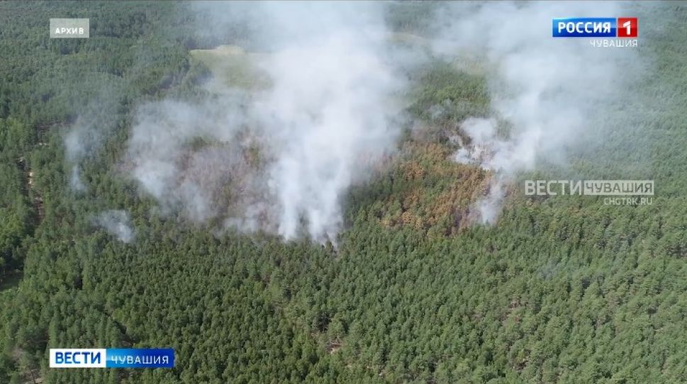С начала пожароопасного сезона в Чувашии произошло 14 лесных пожаров