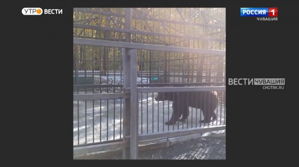 Мобильный репортер. Выпуск от 02.10.2021