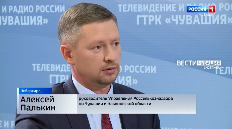 Из-за африканской чумы свиней новочебоксарское предприятие уничтожит 1,4 тонн продукции