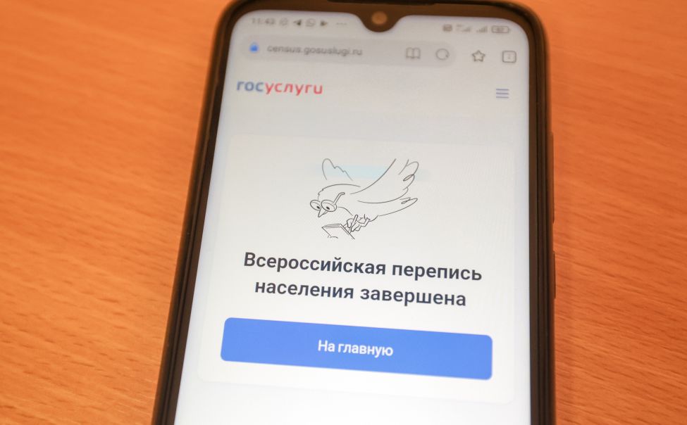 Чувашия  попала в лидеры по прохождению переписи на портале «Госуслуги»