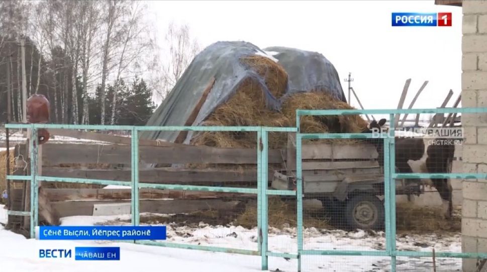 Пӗр ӑру кӑна мар вӗренсе тухнӑ пӗлӳ ҫуртӗнче... ӗне ферми уҫнӑ