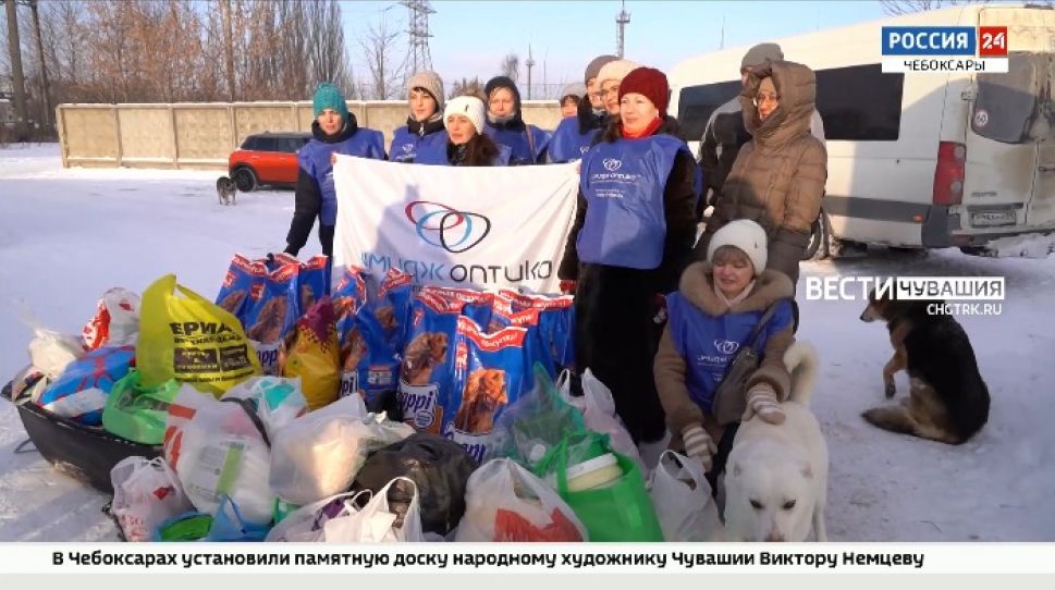 Чебоксарцы собрали вторую партию подарков для собак из столичного пункта передержки "Право на жизнь"