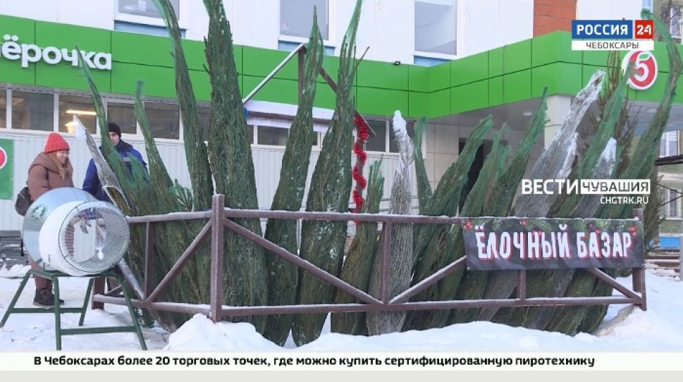 В Чебоксарах до 31 декабря включительно будут работать елочные базары