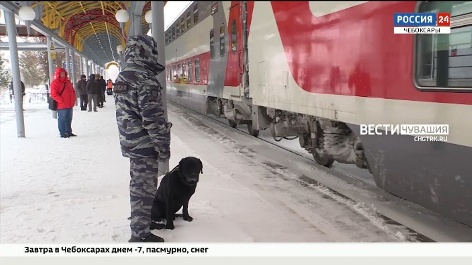 За прошлый год в Чувашии пассажиры поездов совершили 28 краж имущества РЖД
