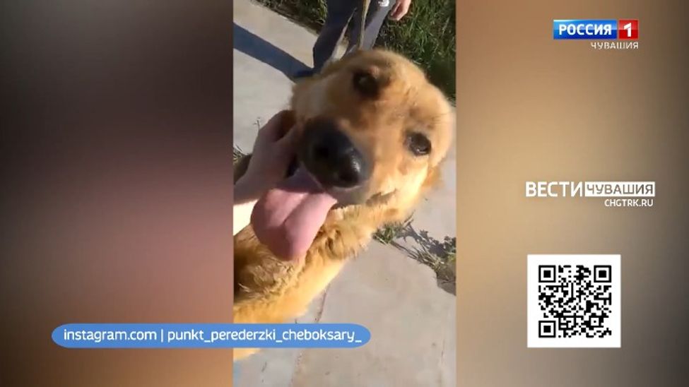 Проект "Найди друга". № 7 Стрелка - Мисс очарование