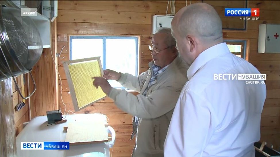 Килти хушма хуҫалӑха аталантаракансем кӑҫалтан патшалӑх пулӑшӑвне тивӗҫме пултараҫҫӗ