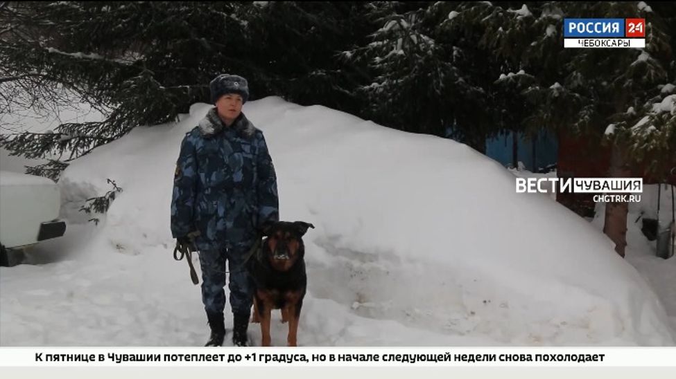 В паре с Оскаром: в Чувашии работает единственная женщина-кинолог 