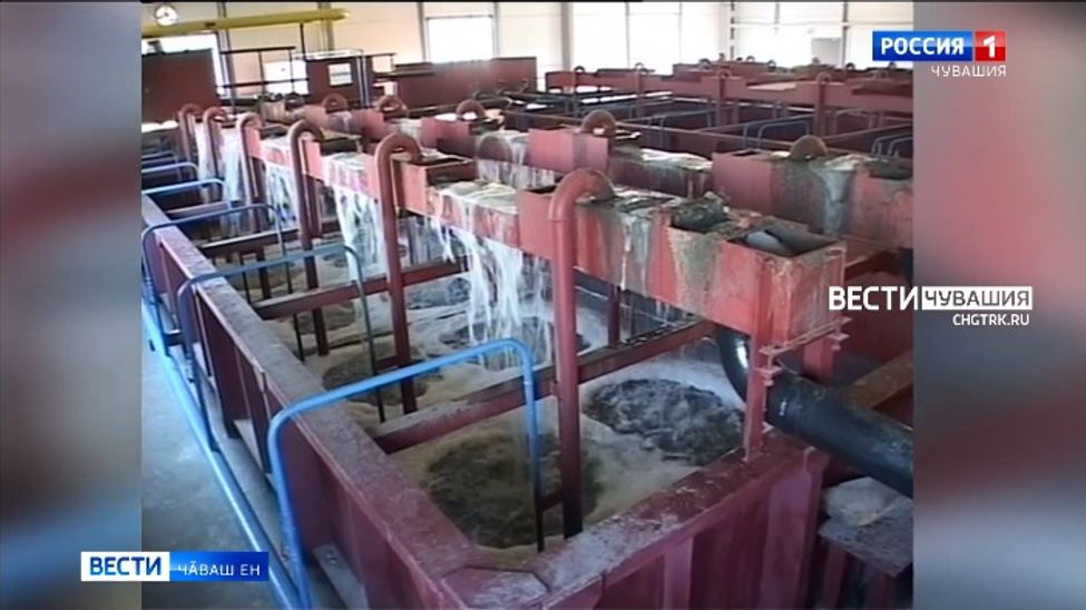 Патӑрьелте ҫивӗч ыйтӑва ниепле татса параймаҫҫӗ