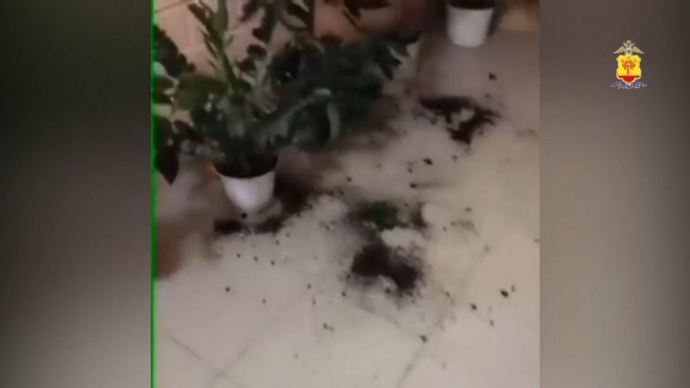 Жители "Нового города" в Чебоксарах помогли поймать подростков, искавших закладки с наркотиками