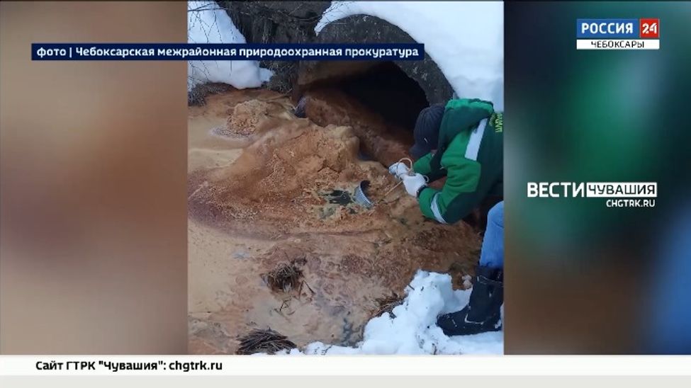 Чебоксарская прокуратура выясняет причину замора рыбы в реке Кукшум