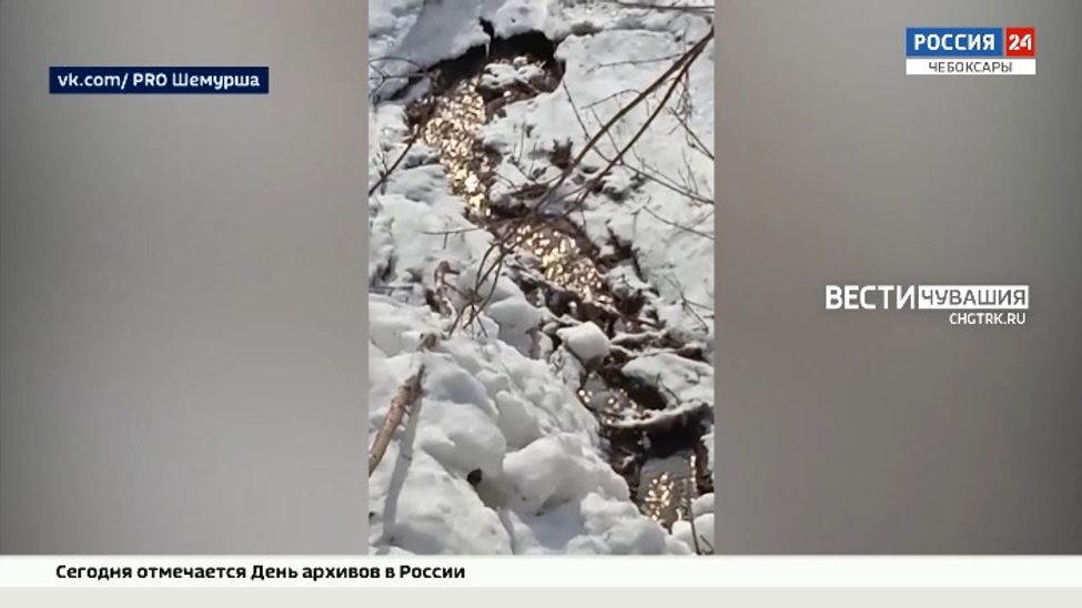 В Шемурше нечистоты из канализационного колодца отравляют реку Малая Карла