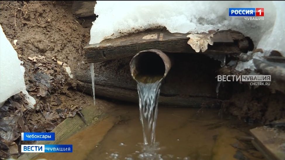 В столичном Ботаническом саду благоустроят родник и территорию