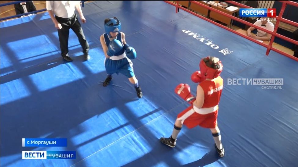 Юные мастера «кожаной перчатки» сразились в турнире по боксу в с. Моргауши