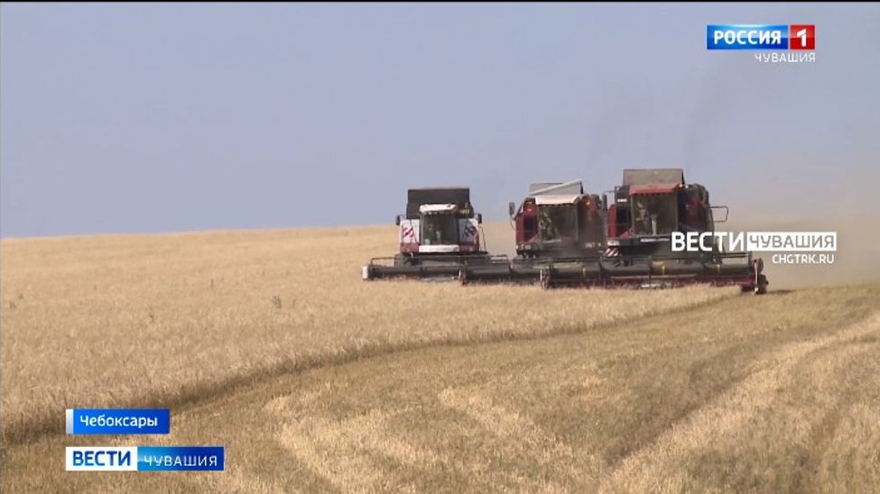 В Чувашии на отдельные категории сельхозпродукции ожидается прирост себестоимости производства