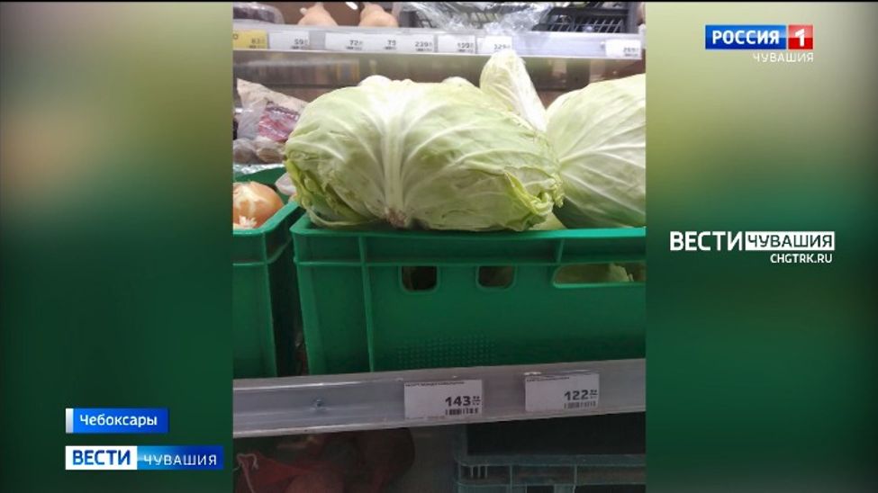 В Чебоксарах ценник на капусту обновил свой исторический максимум