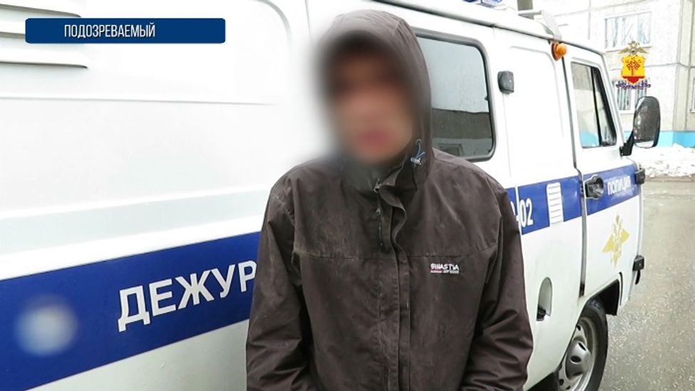 В Чебоксарах осудят мужчину, укравшего 9 видеорегистраторов меньше чем за месяц