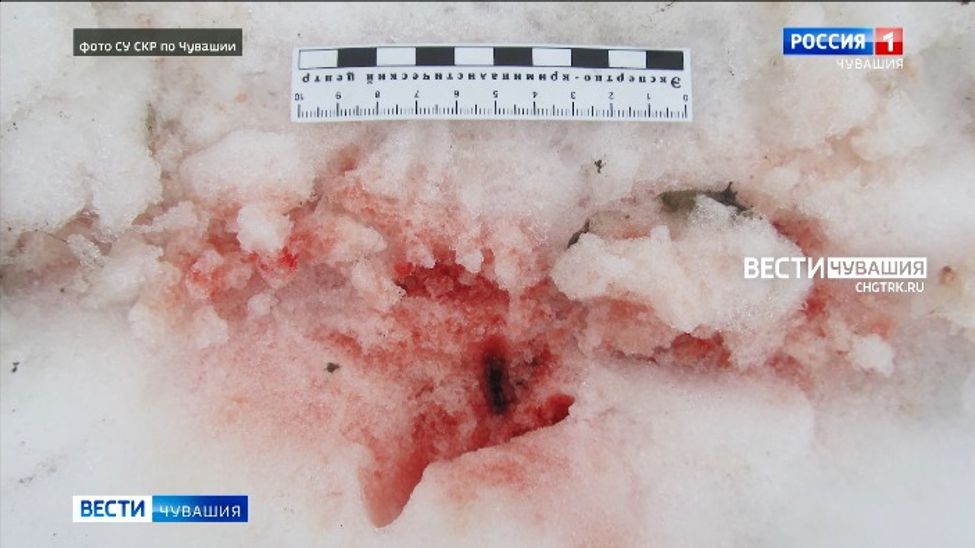 В Чувашии раскрыли запутанное убийство, но тело так и не нашли