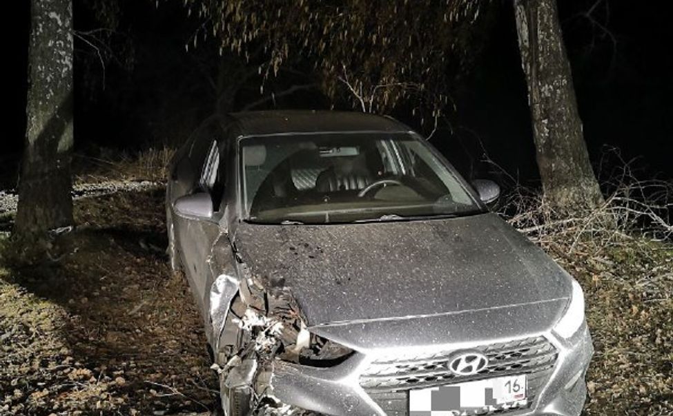 В Козловском районе пьяный автолюбитель попытался скрыться от полицейских