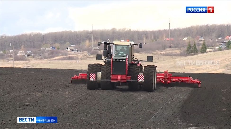 Республикӑра ҫураки хӗрсе пырать