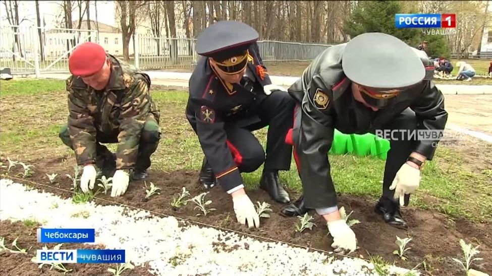 Руководство и ветераны МВД Чувашии вместе с кадетами высадили более 50 саженцев