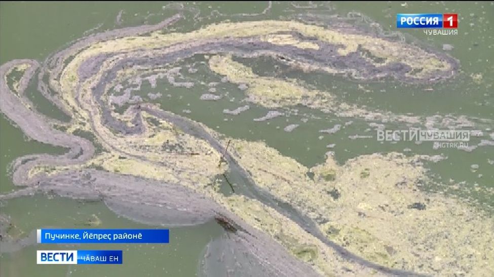 Йӗпреҫ районӗнчи сӗт-ҫу завочӗ тавралӑха вараланӑ