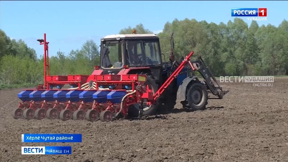 Кӑҫал республикӑра ҫурхи уй-хир ӗҫӗсене 290 пин гектар ҫинче тумалла