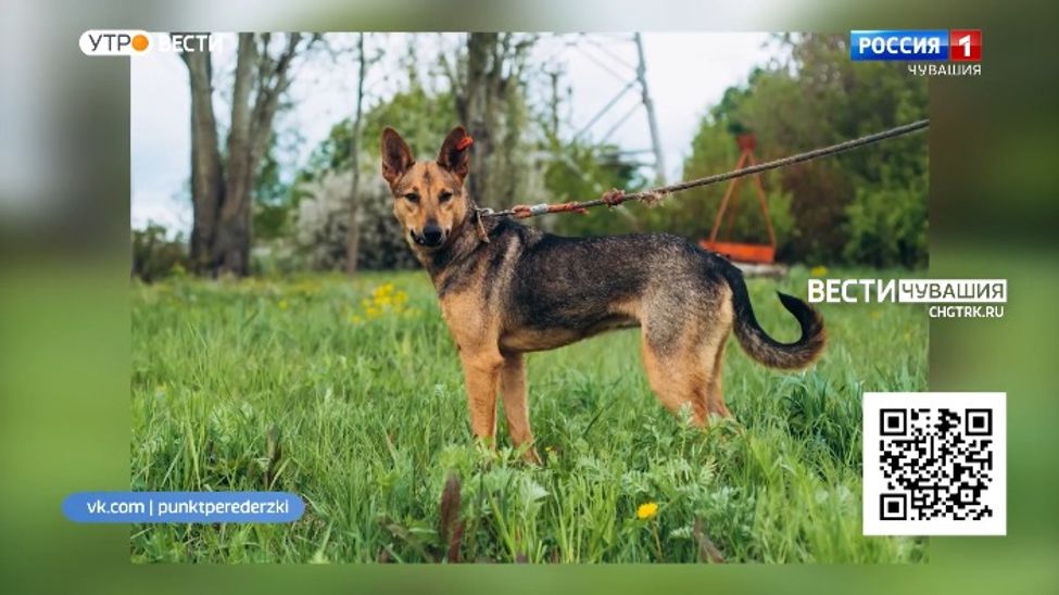 Проект "Найди друга". №21