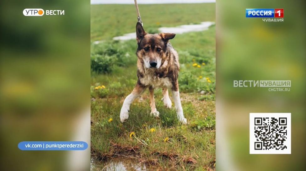 Проект "Найди друга". №24. Свой парень - Серега