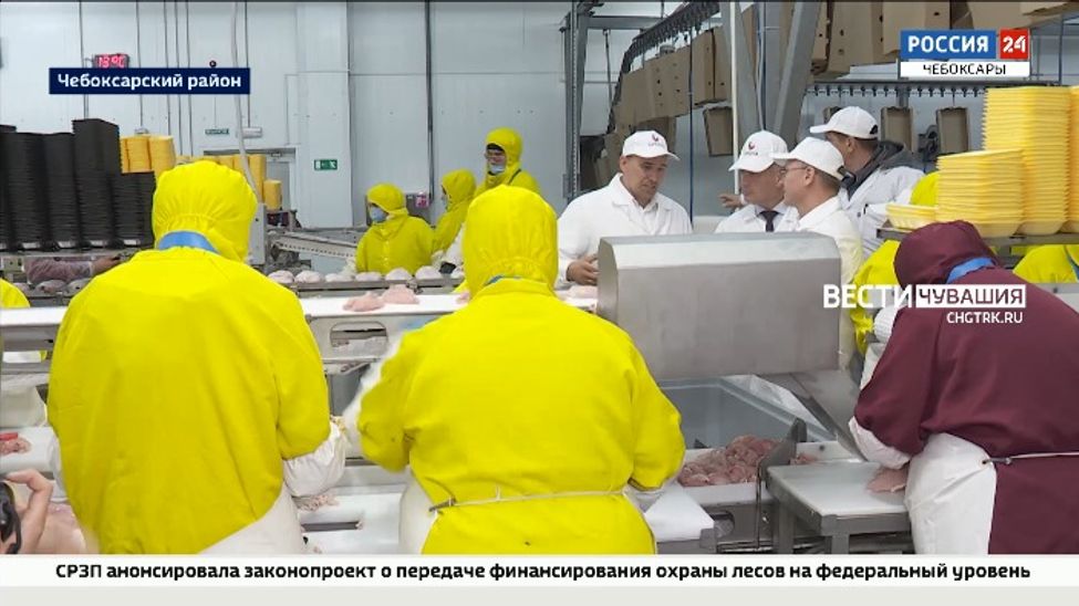 Агрохолдинг "CHUVA" запустил новую производственную линию