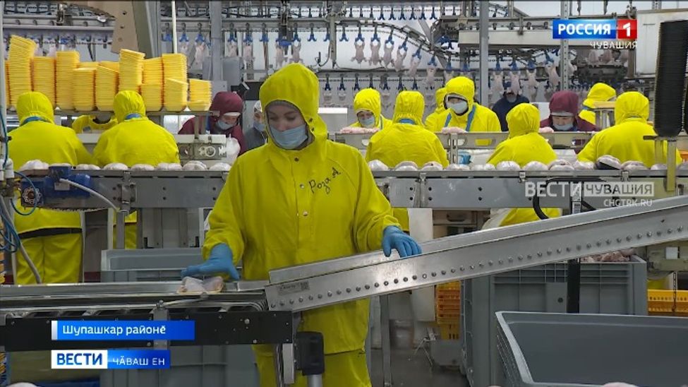 "Агрохолдинг Чува" предприятине аталантараҫҫӗ