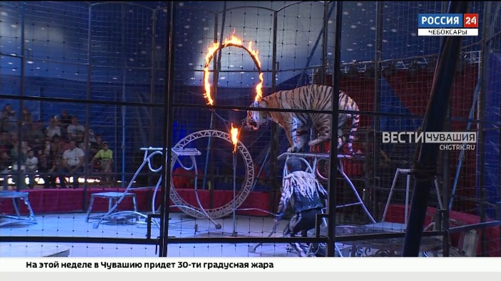 В Чебоксары впервые приехал цирк - шапито "Виват"