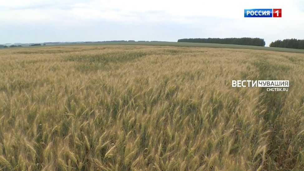 О ключевых событиях уходящей недели в новом выпуске программы "Местное время. Воскресенье"